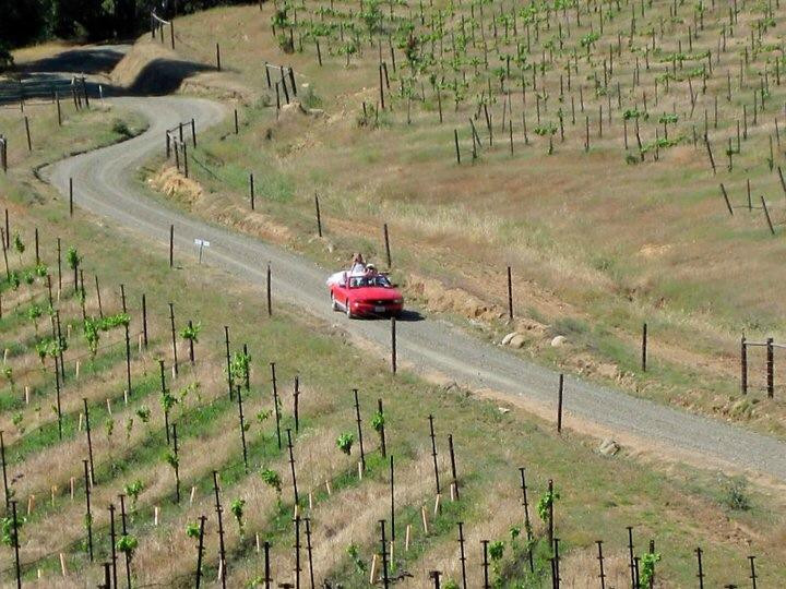 Butterfly Creek Winery & Vineyards景点图片