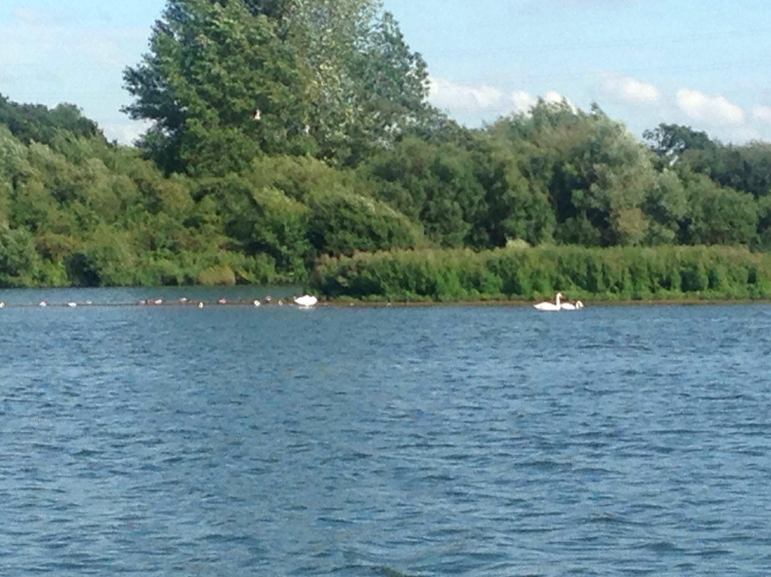 Idle Valley Nature Reserve景点图片