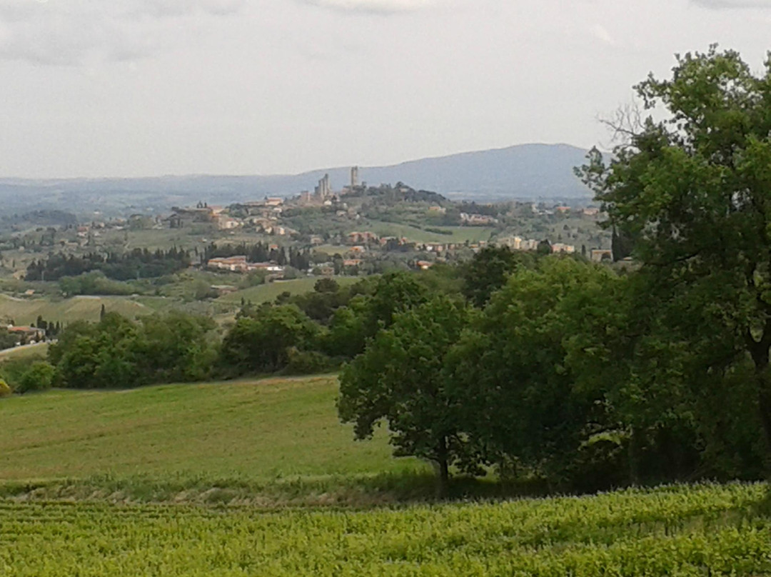 Via Francigena Tappa 31 Gambassi Terme - San Gimignano-Gambassi Terme必去景点