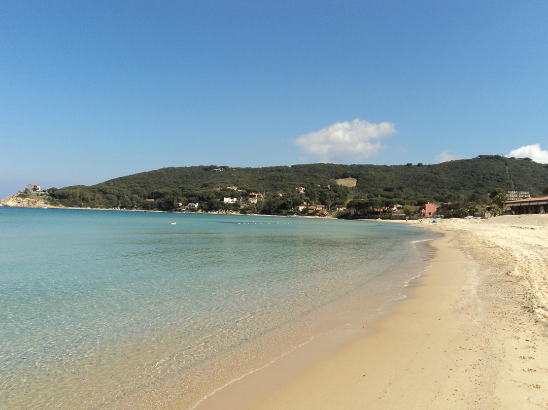 Procchio Beach景点图片
