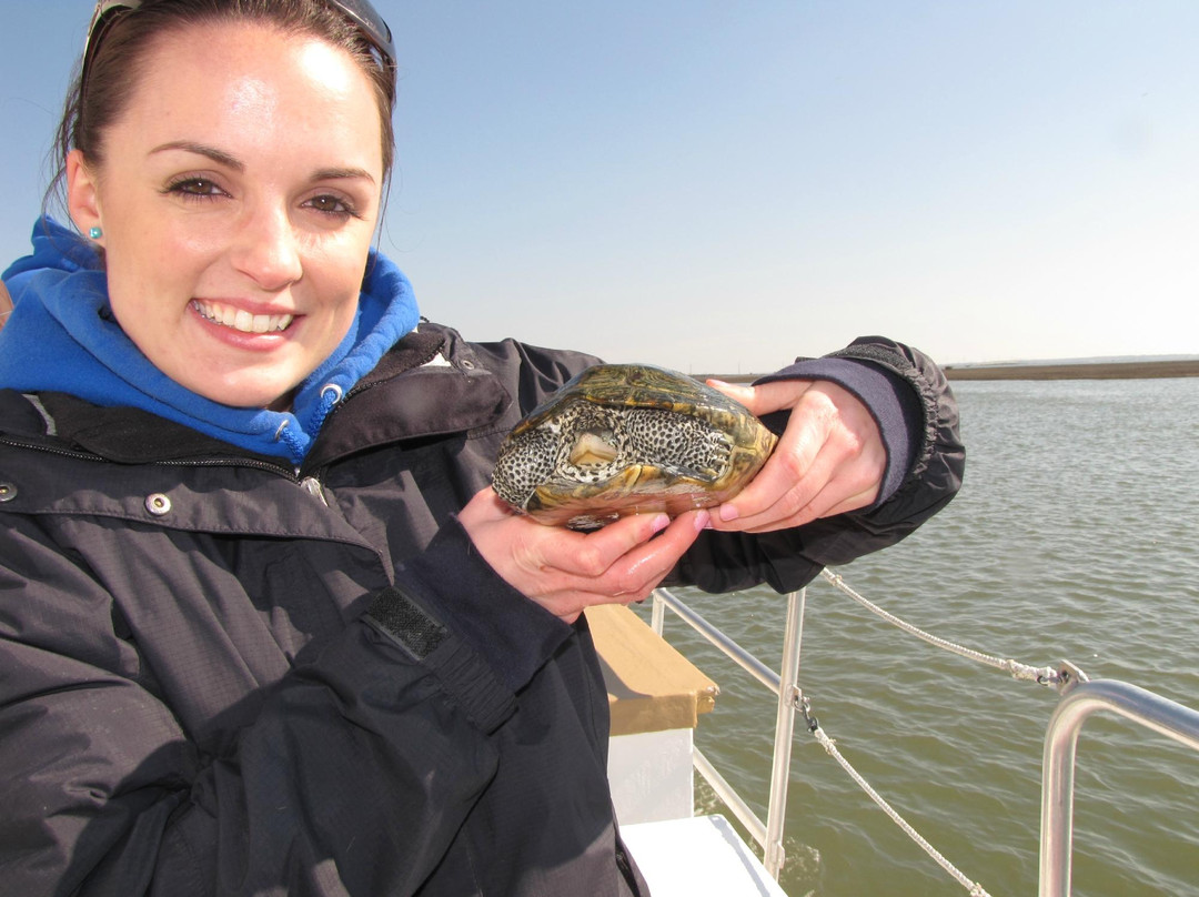 Chincoteague Bay Field Station-Wallops Island必去景点