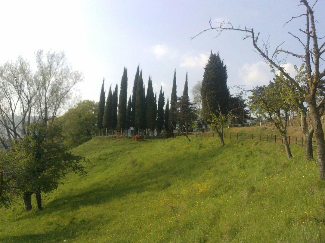 Passeggiata nelle colline di San Benedetto景点图片
