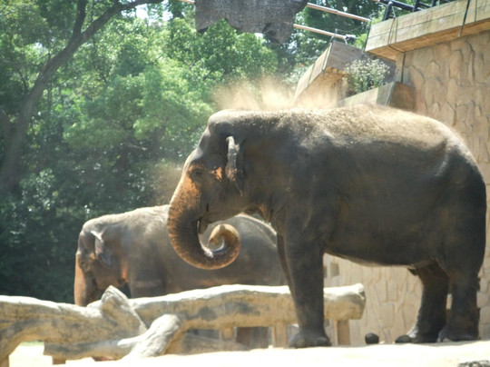 天王寺动物园-大阪市必去景点