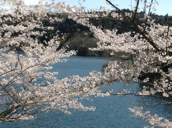 Konakaike Park景点图片