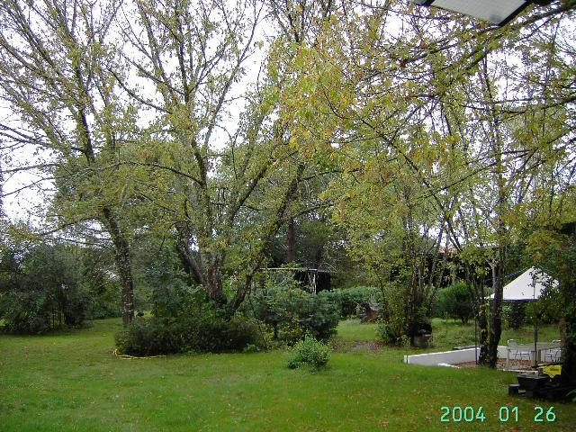 Au Grillon Dort主图