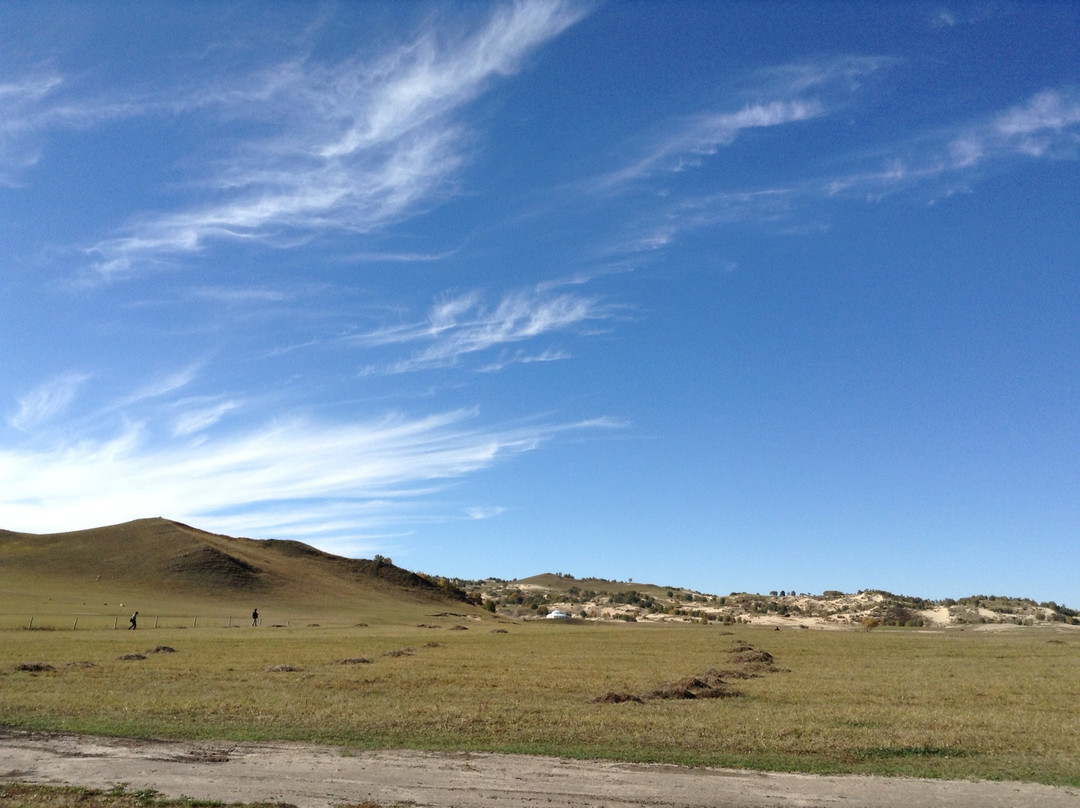 坝上红山军马场-围场县必去景点