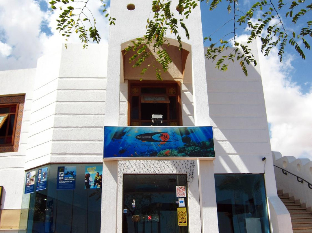 Sinai College-沙姆沙伊赫必去景点