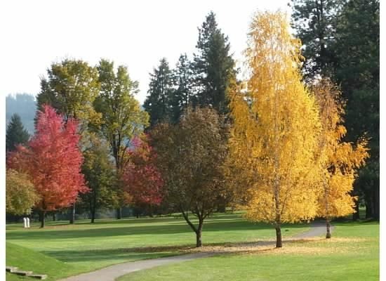 Leavenworth Golf Course-莱文沃思必去景点