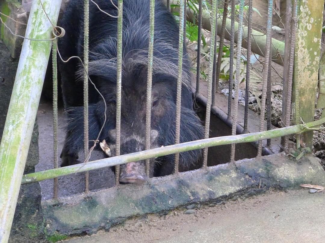 Santa Victoria Caves-Tuguegarao City必去景点