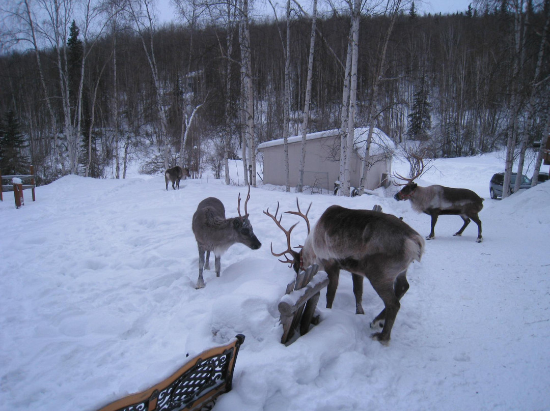 驯鹿牧场-null必去景点
