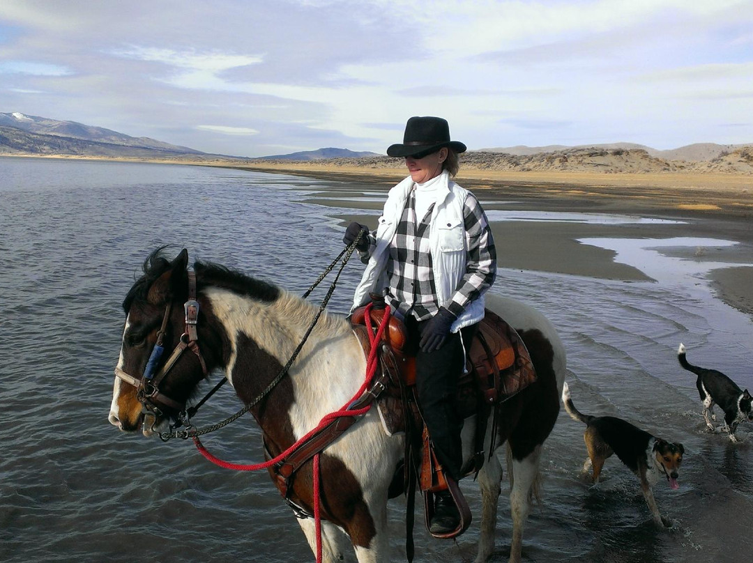 R and D Ranch-卡森城必去景点