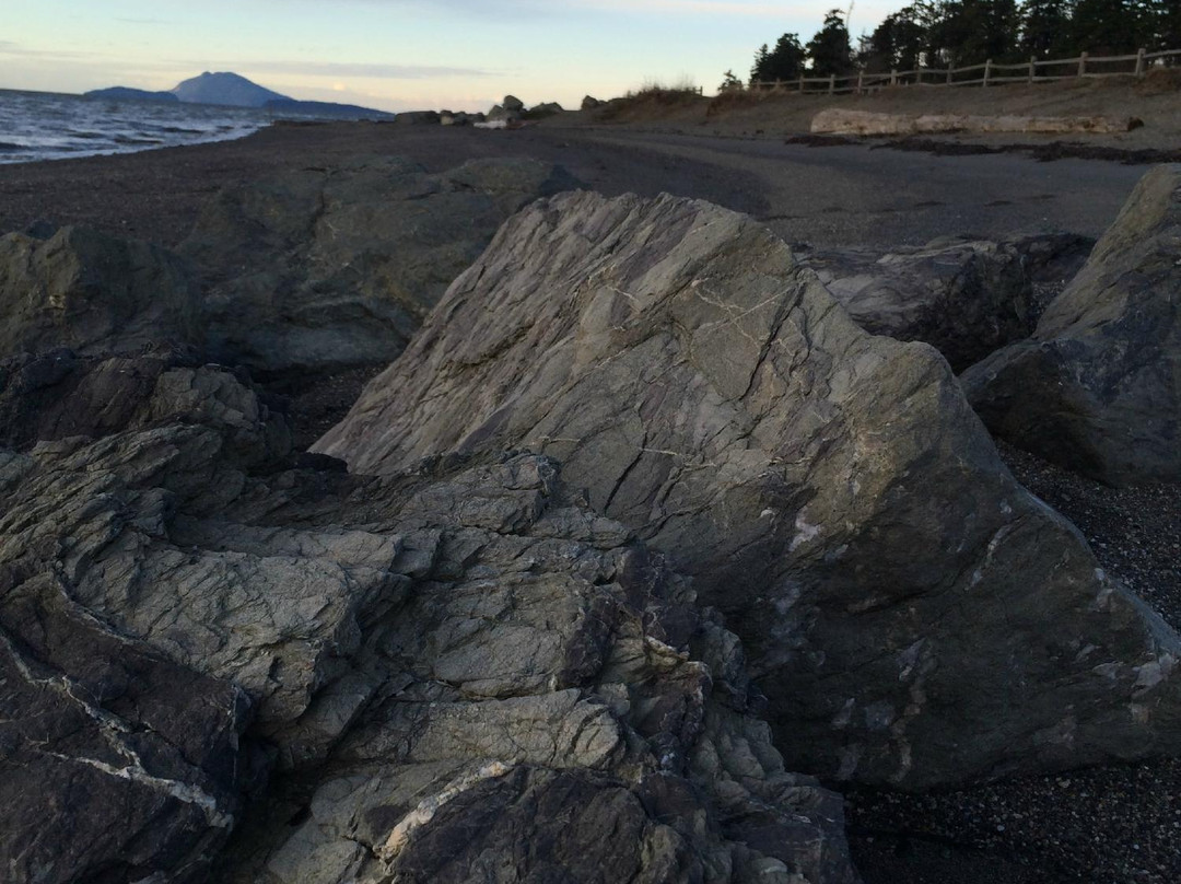 Padilla Bay National Estuarine Research Reserve景点图片