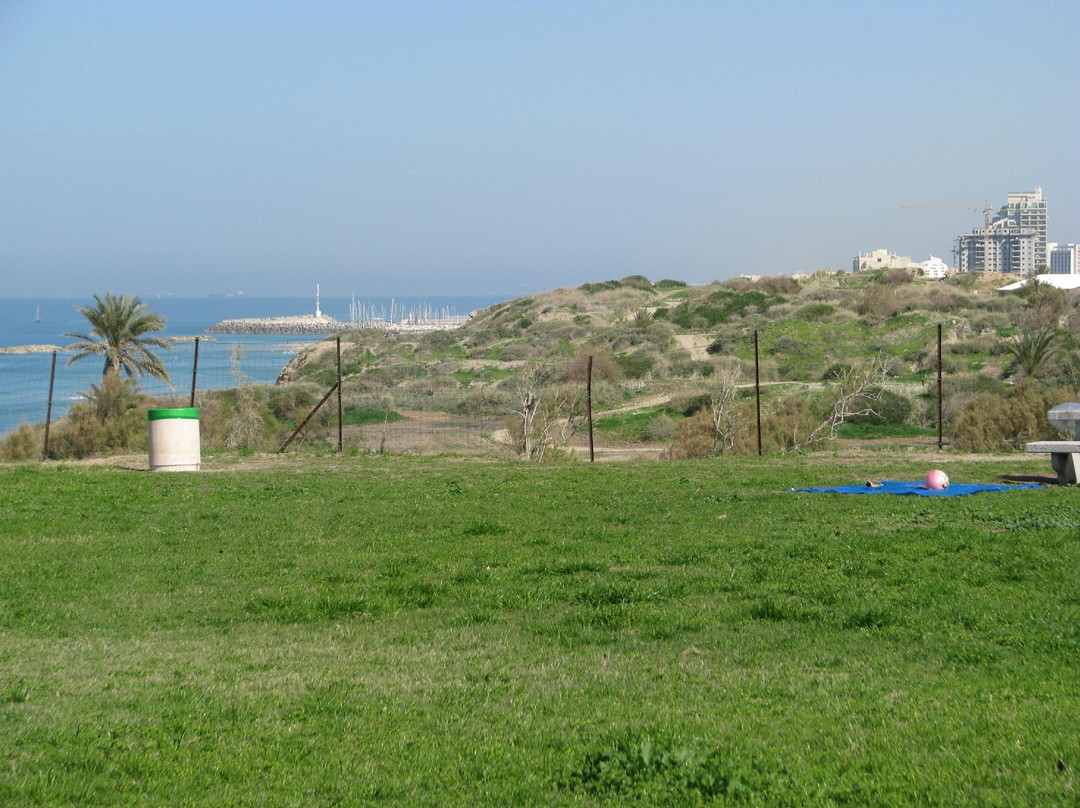 Ashkelon national park景点图片