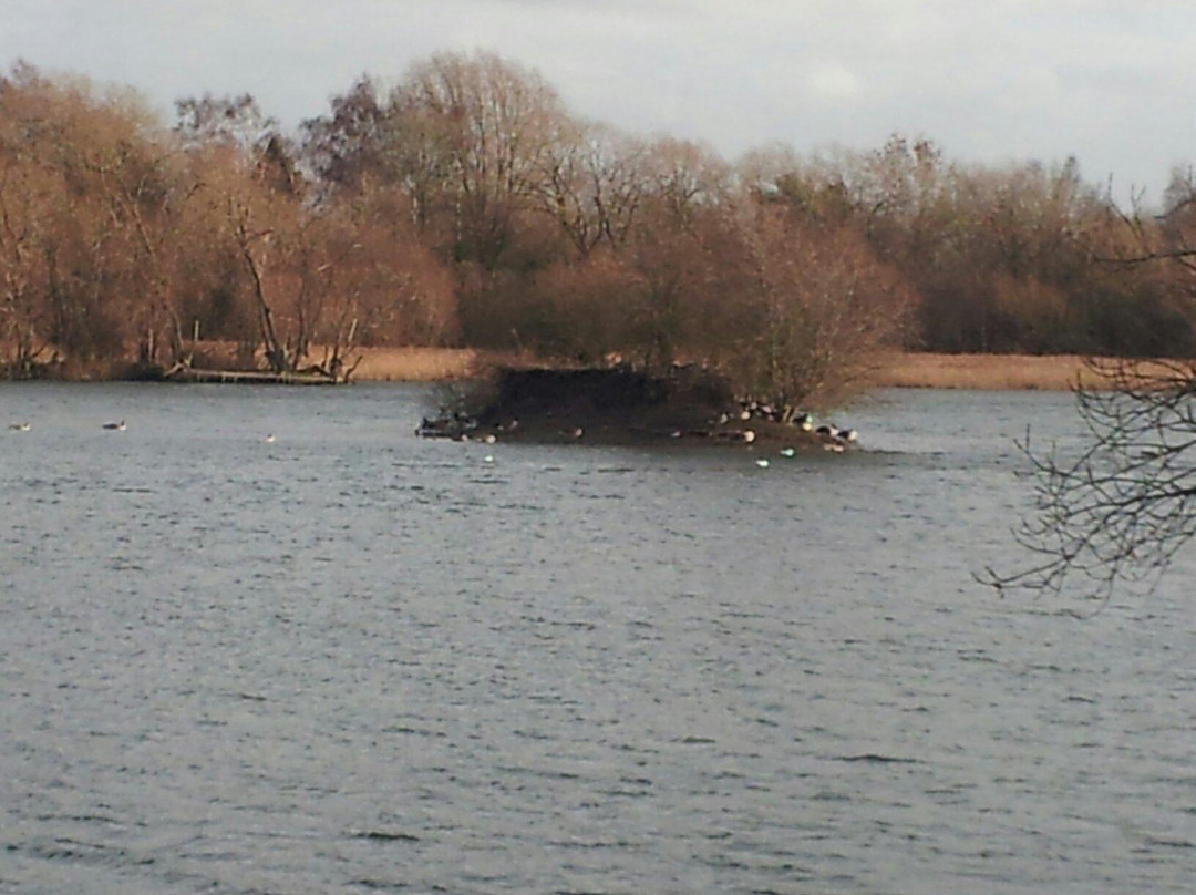 Branston Water Park景点图片