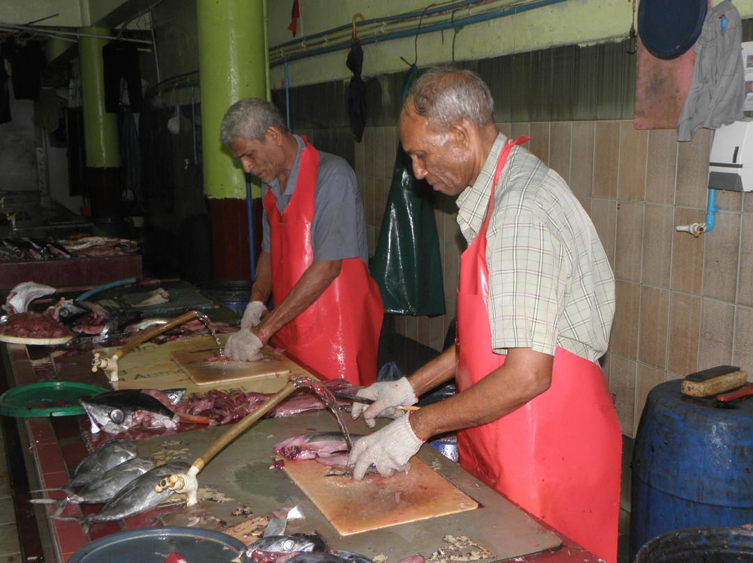 雄鱼市场-马累必去景点