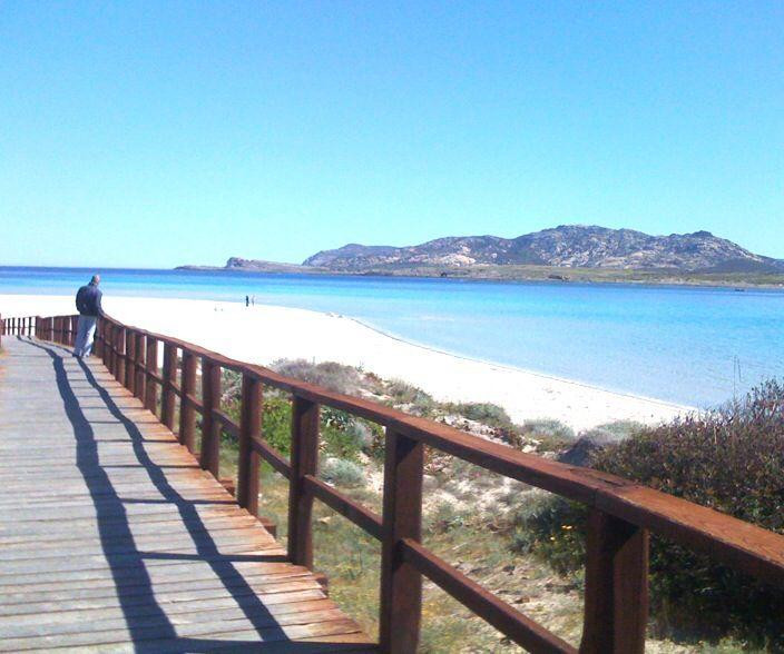 Asinara酒店住宿-La Vela Latina