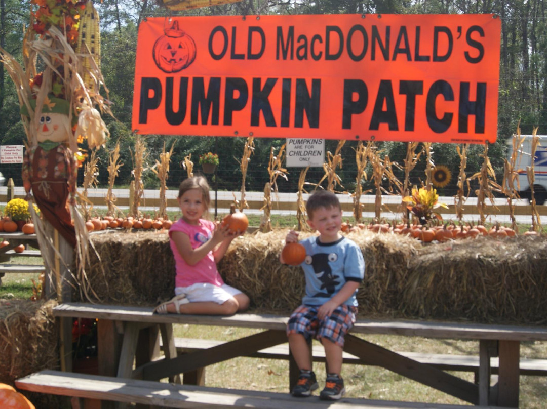 Old MacDonald's Farm-汉布尔必去景点