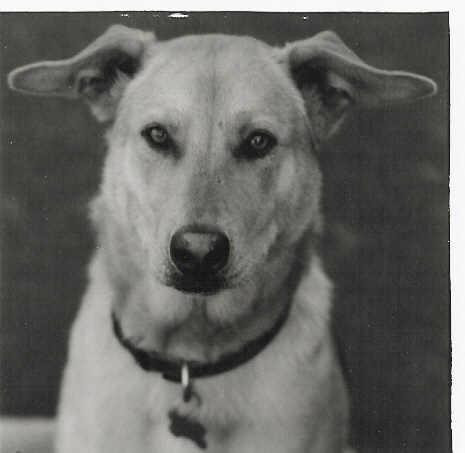 Ten Spoon Vineyard and Winery-米苏拉必去景点