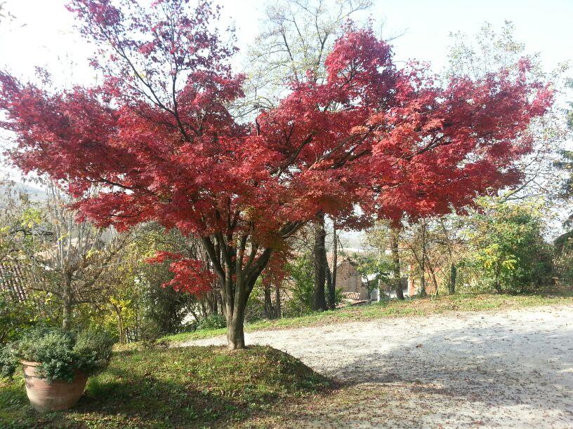 Tenuta Calabiana-客卧