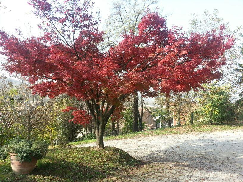 Tenuta Calabiana主图