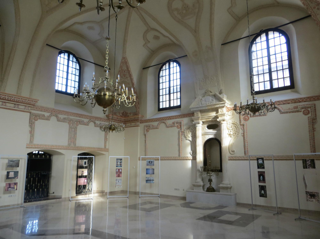Synagoga w Zamościu景点图片