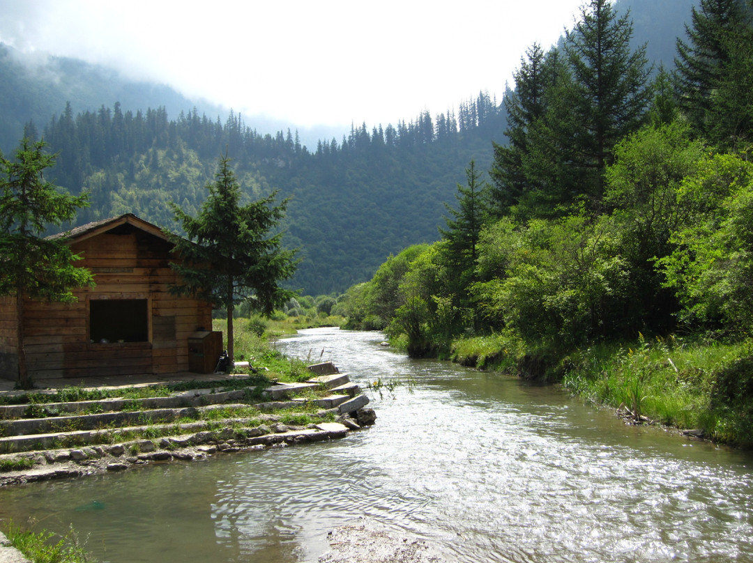 甘海子国家森林公园-九寨沟县必去景点