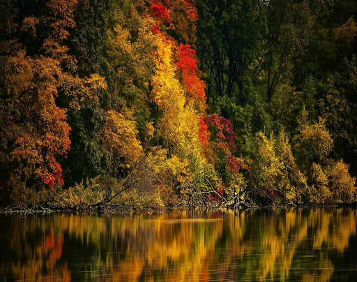 Van Cortlandt Golf Course-纽约州必去景点