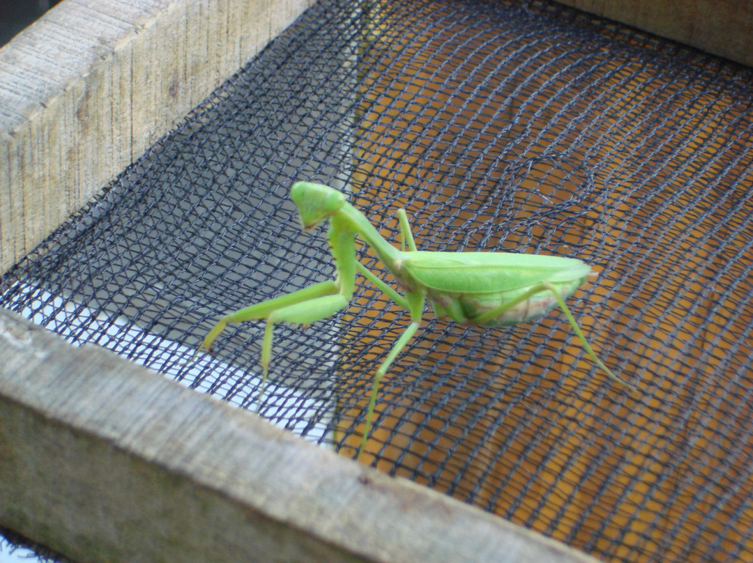 巴厘蝴蝶公园Taman Kupu Kupu-达巴南必去景点