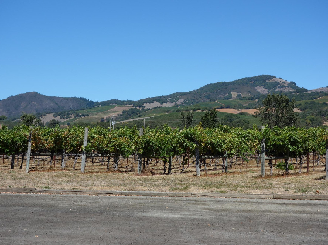 Loxton Winery景点图片