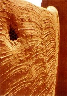 Sultan's Palace-Zinder必去景点