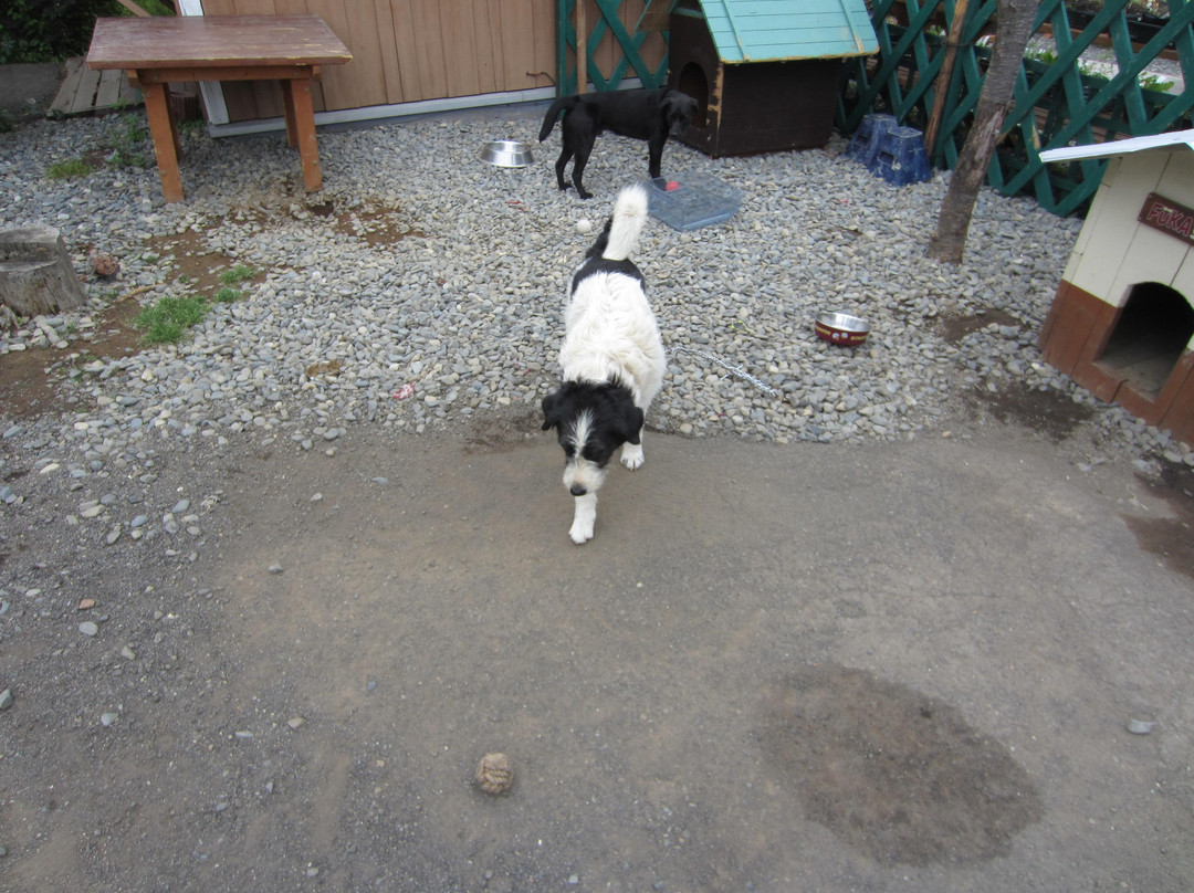 Tokachi Hills-幕别町必去景点