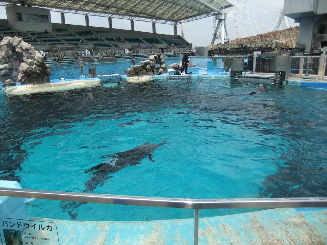 名古屋港水族馆-名古屋市必去景点
