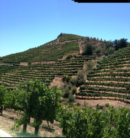 Hidden Malibu Wine Country Tours景点图片