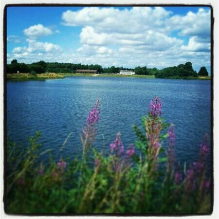 Thrybergh Country Park景点图片