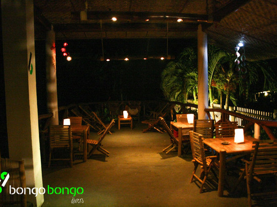 Bongo Bongo Divers主图