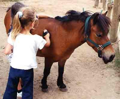 Club Hippique le Barry-卡萨布兰卡必去景点