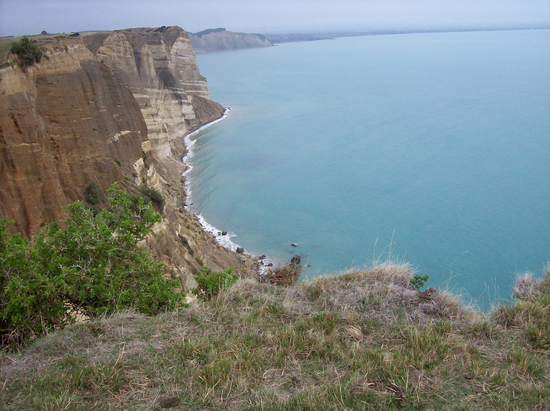 Cape Kidnappers景点图片