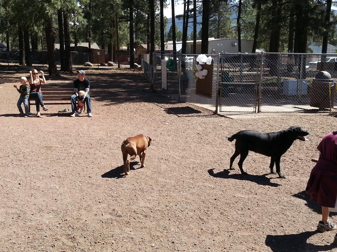 Thorpe Park-弗拉格斯塔夫必去景点