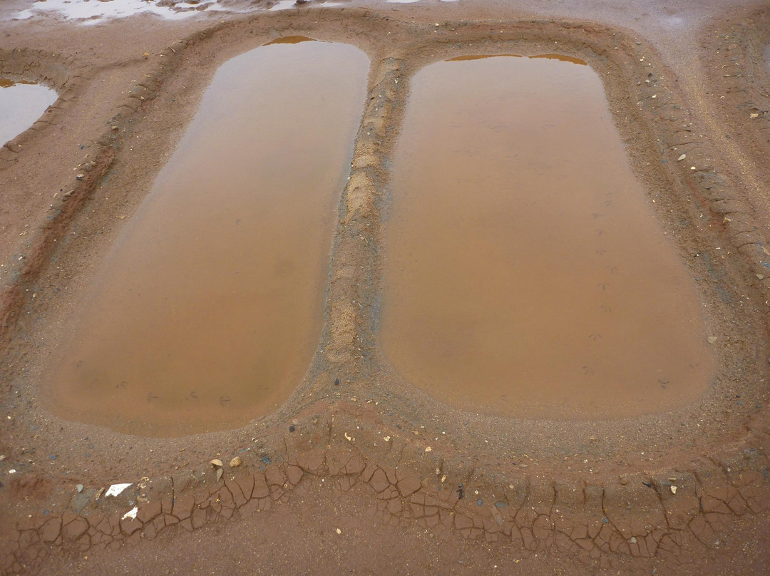 Hanapepe Salt Ponds-哈纳佩佩必去景点