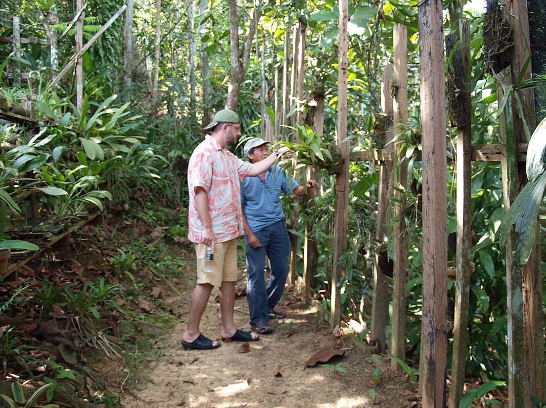 富境花庄-亚庇必去景点