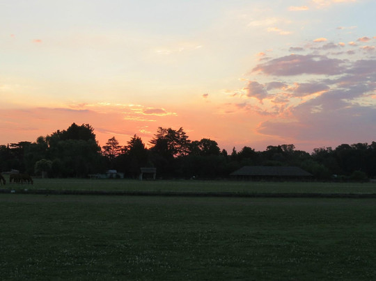 Polo Day - El Retiro Polo Club-Zelaya必去景点