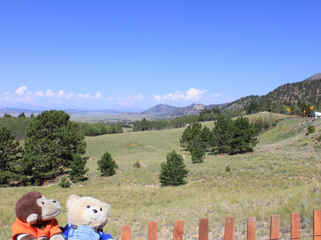 Collegiate Peaks Scenic Overlook-布埃纳维斯塔必去景点