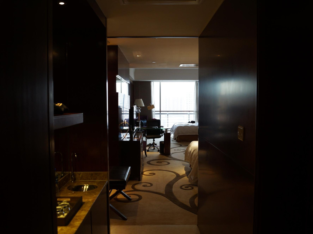 大同金地豪生大酒店主图