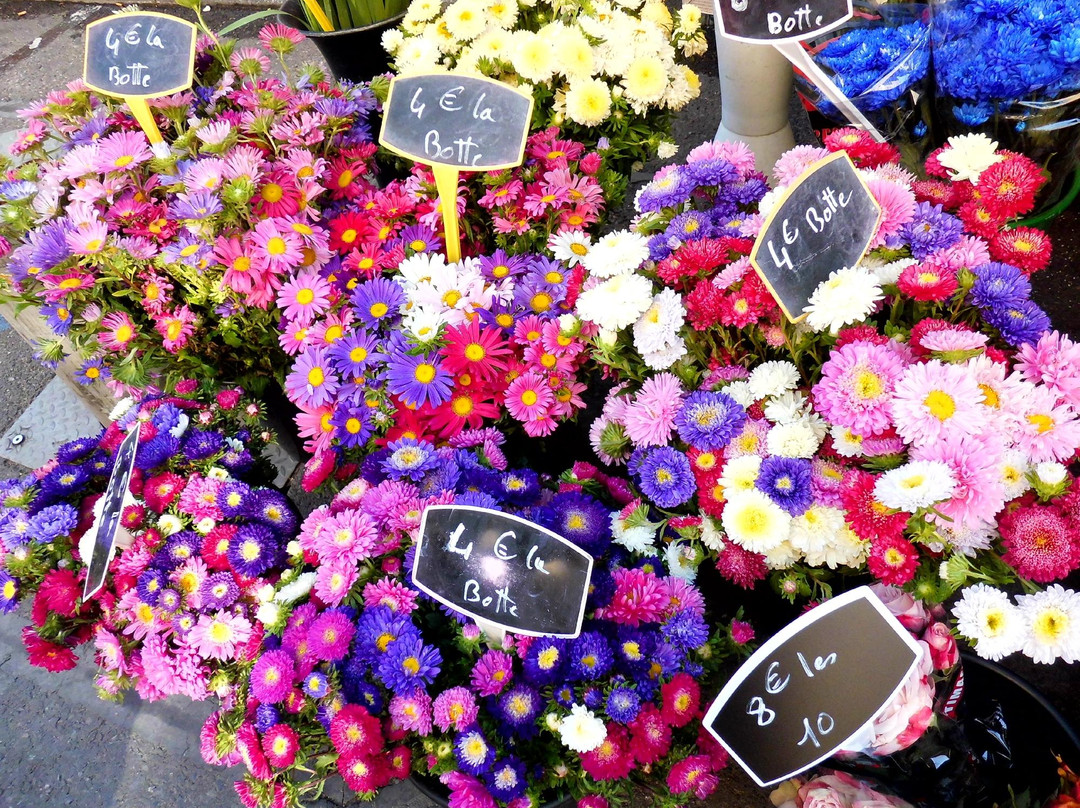 Marché d'Apt景点图片