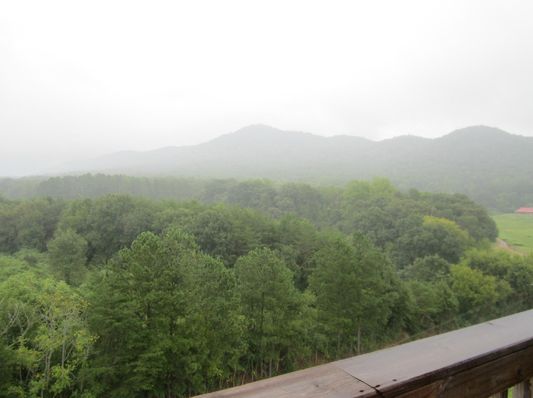 Ocoee Zipz-Benton必去景点