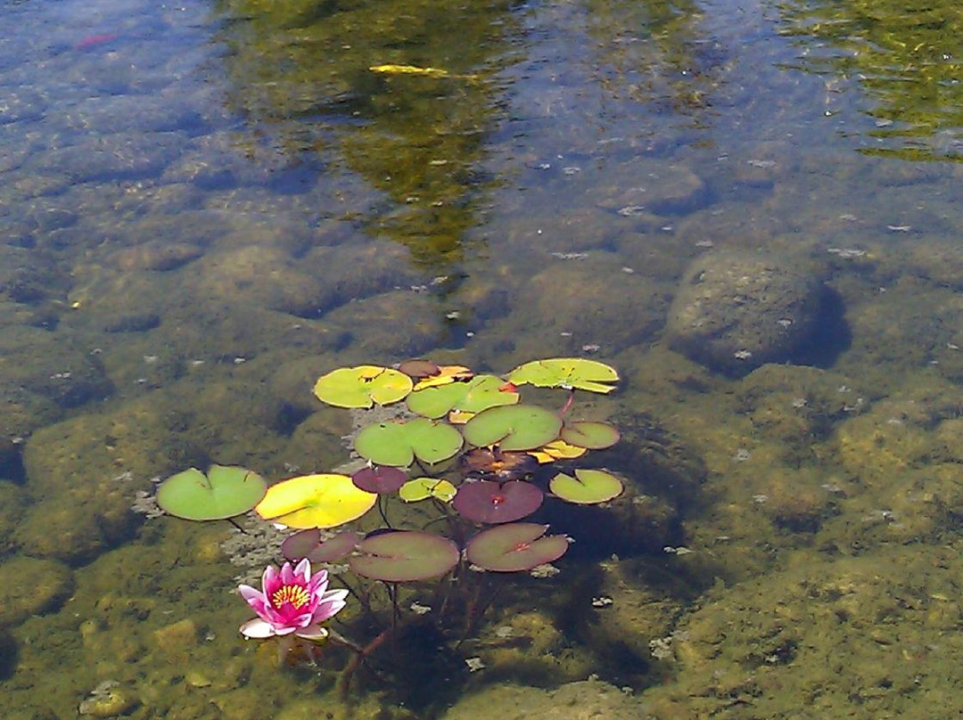 Chinese Joss House Museum-埃文斯顿必去景点