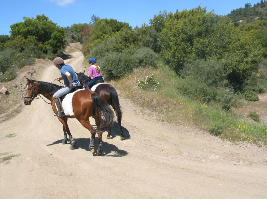 Ride in Cyprus Ltd-Melandra必去景点