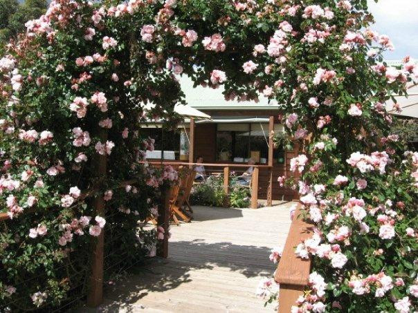 Sorell Fruit Farm-索雷尔必去景点