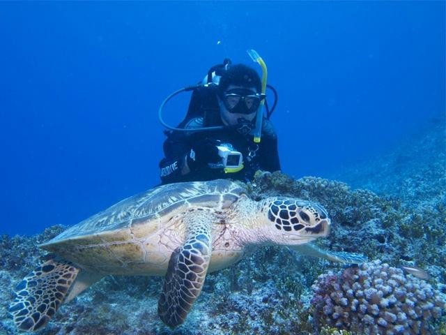 Grotto Snorkeling Sightseeing Day Tours - Sea Lovers景点图片