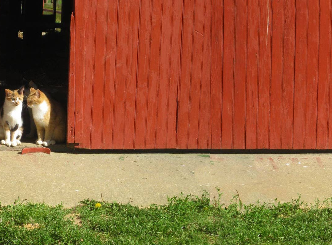 Crow Farmstay B&B主图